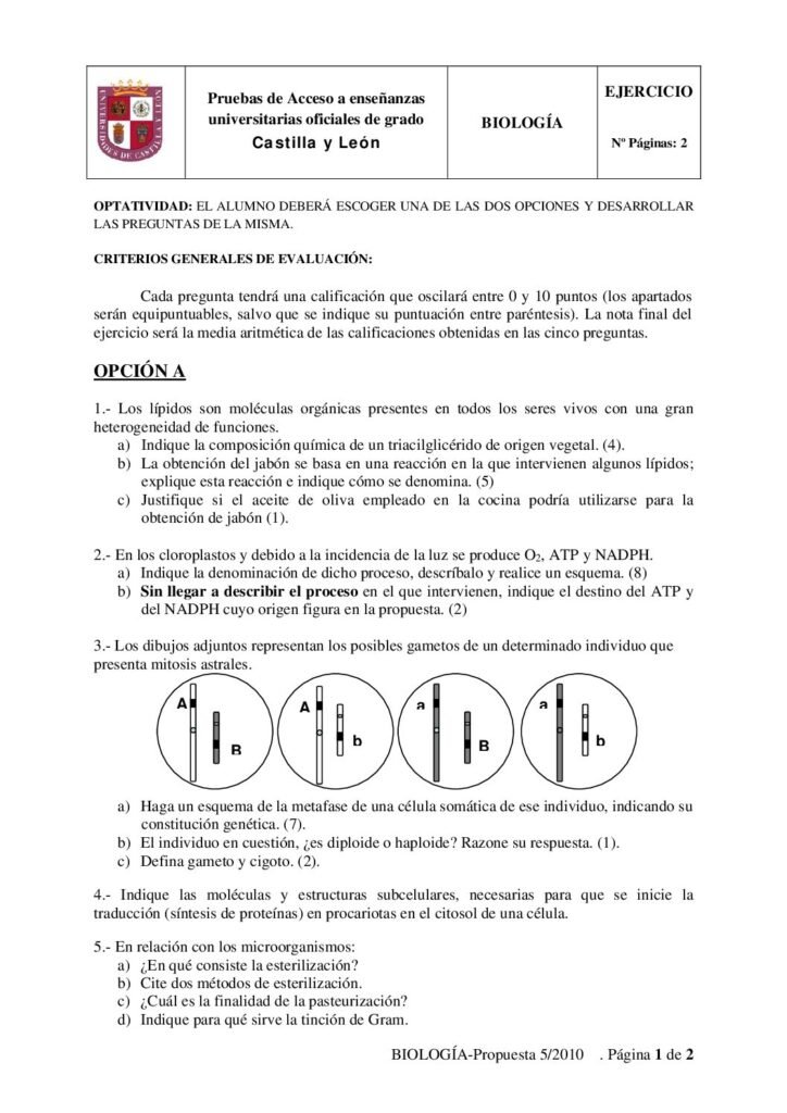 thumbnail of 2010_junio_biologia_fase_general