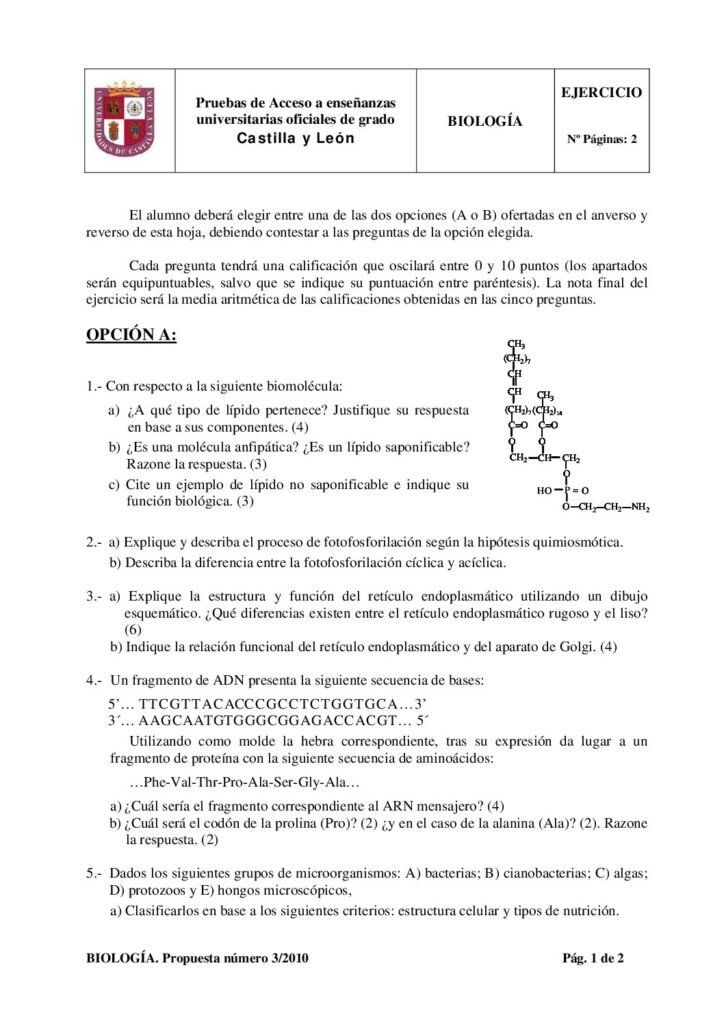 thumbnail of 2010_septiembre_biologia_fase_especifica