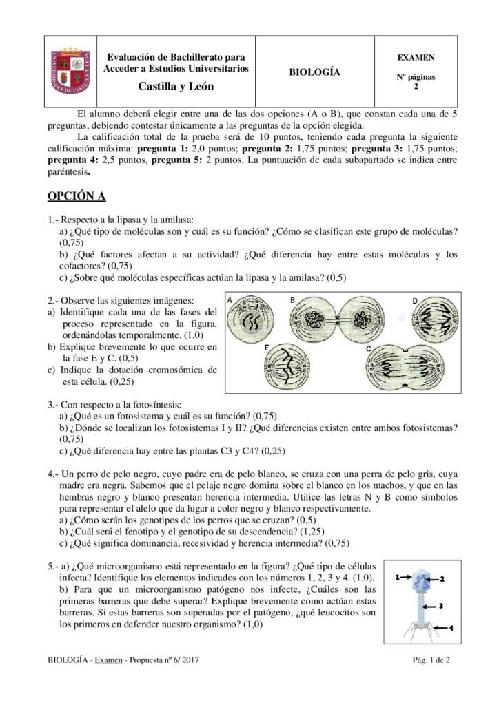 thumbnail of 2017_septiembre_biologia