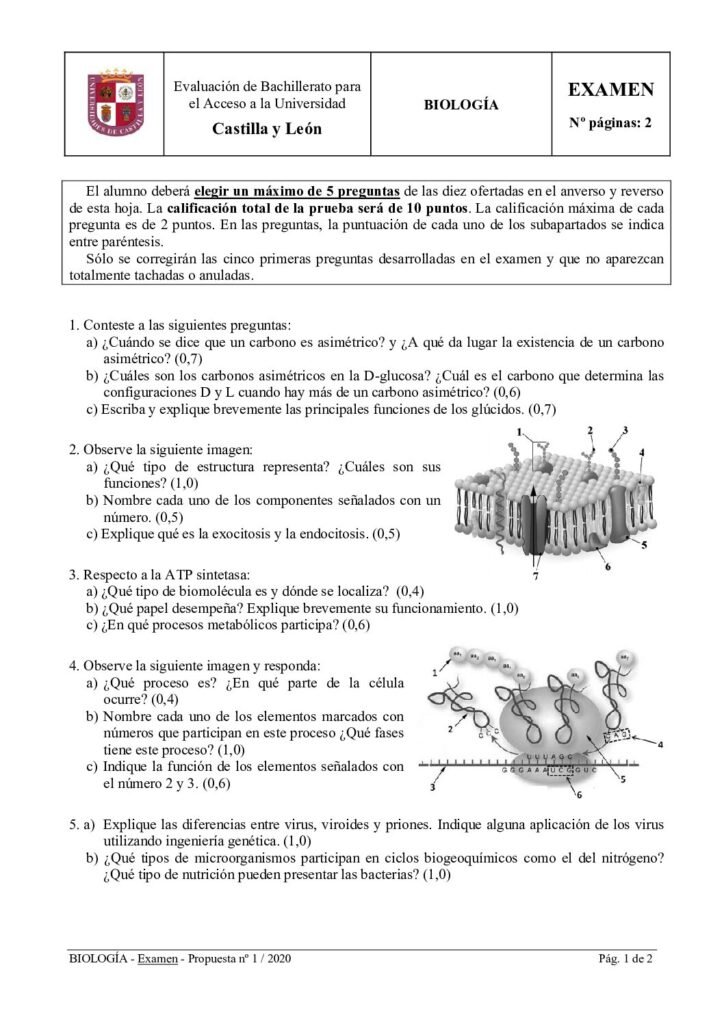 thumbnail of 2020_julio_biologia