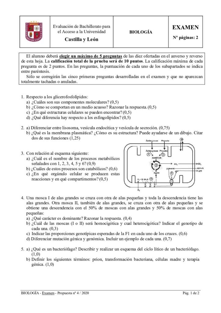 thumbnail of 2020_septiembre_biologia