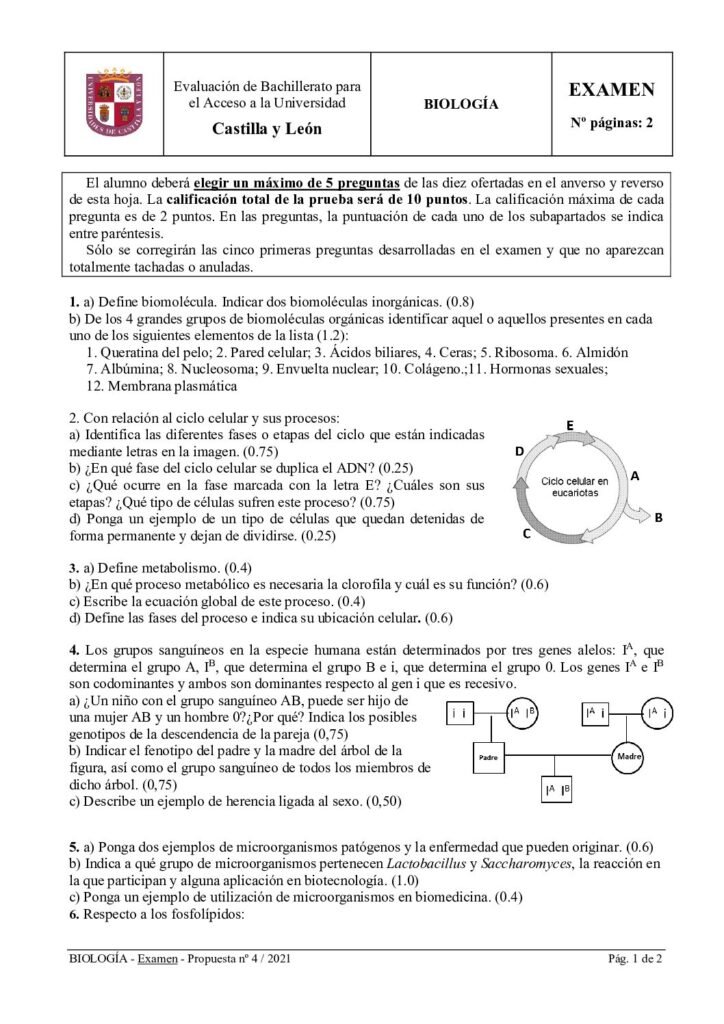 thumbnail of 2021_julio_biologia