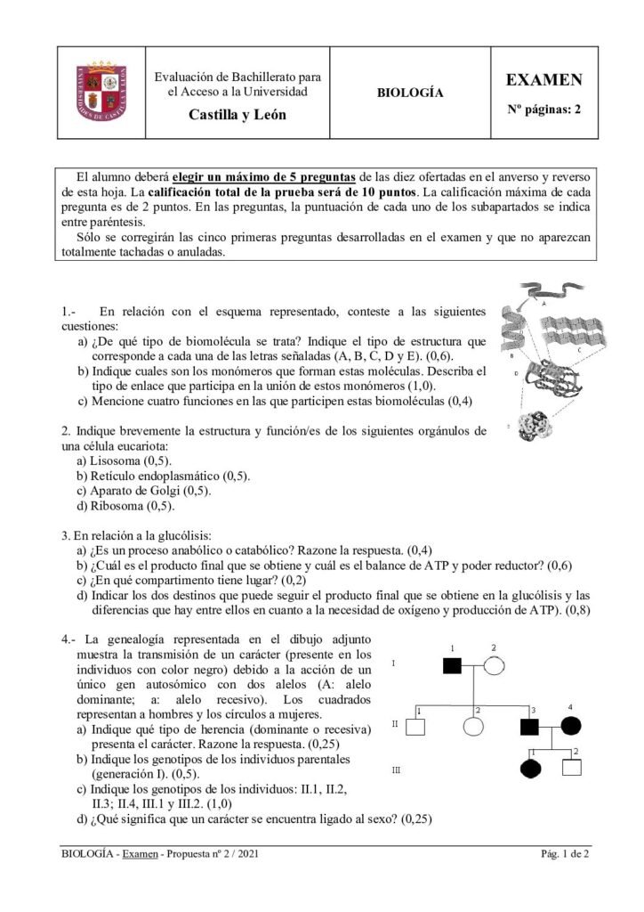 thumbnail of 2021_junio_biologia