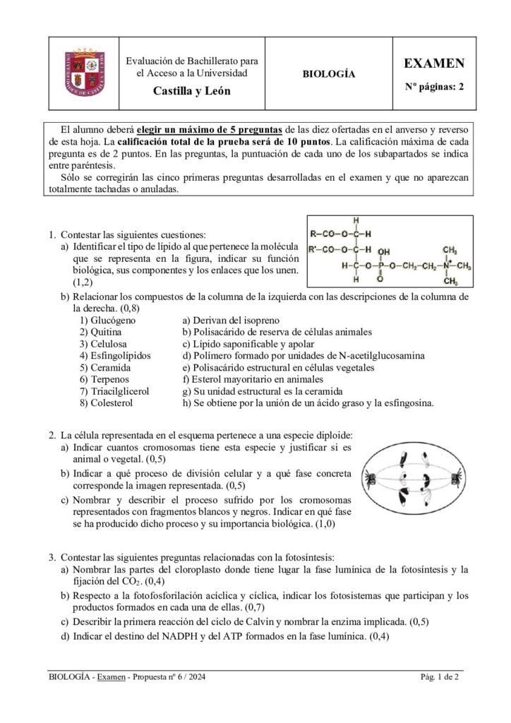 thumbnail of 2024_julio_biologia
