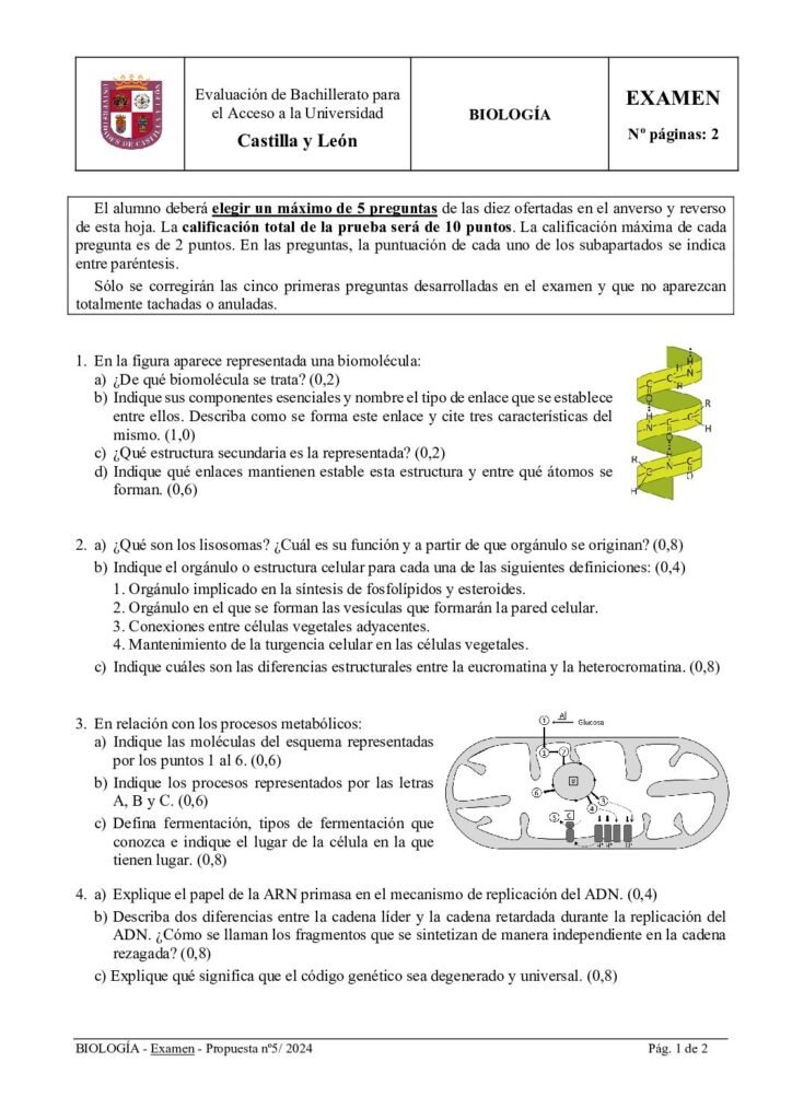 thumbnail of 2024_junio_biologia